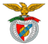 Emblema do CB Alcochete