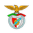 Emblema do Sport Nisa e Benfica