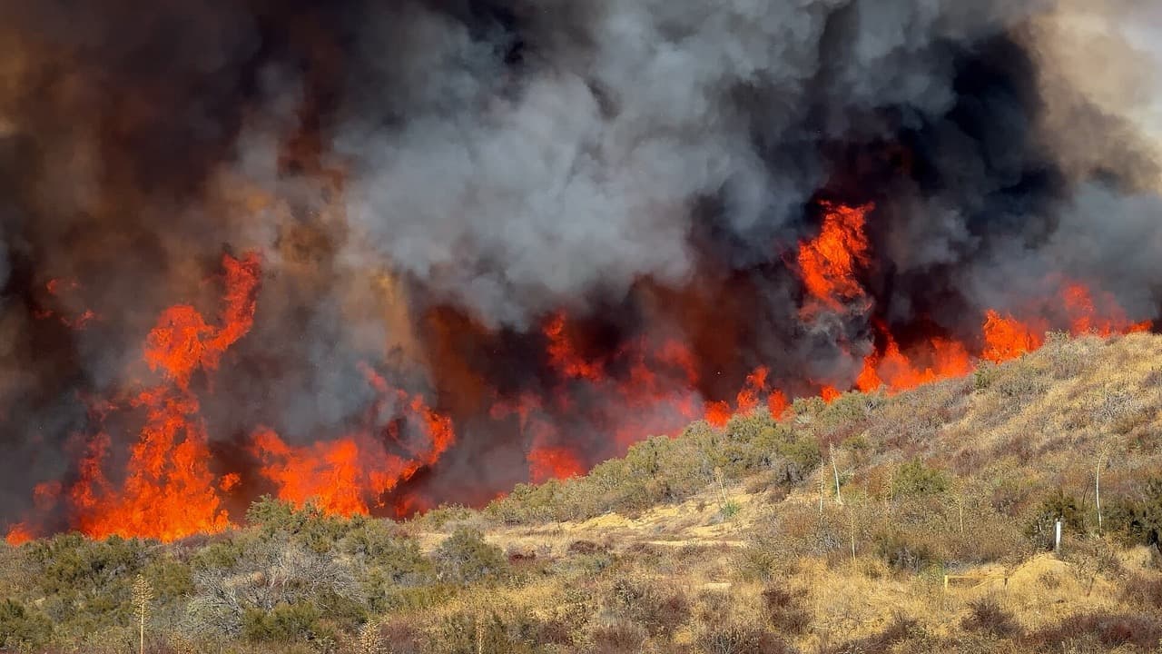 Imagem da notícia: Alenquer é o concelho da região com maior número médio de incêndios por ano