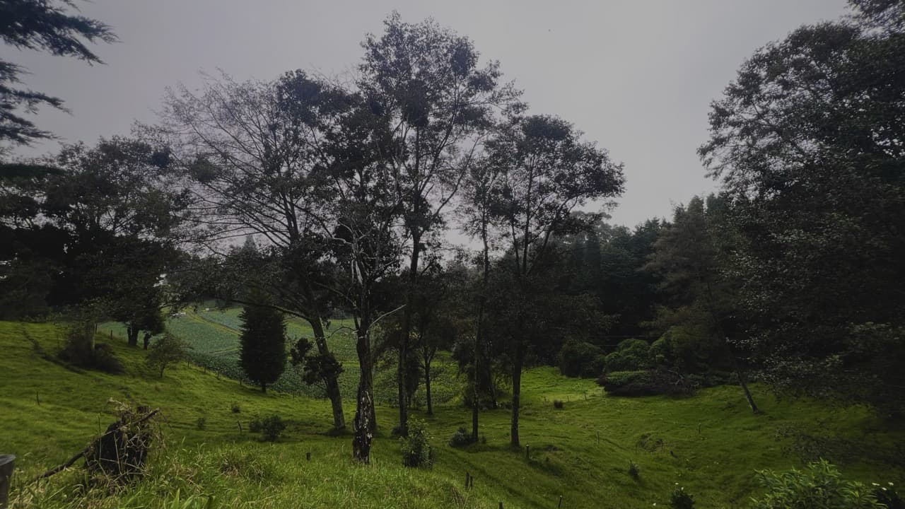 Imagem da notícia: Almargem promove dia de reflexão sobre o futuro do território de Monchique