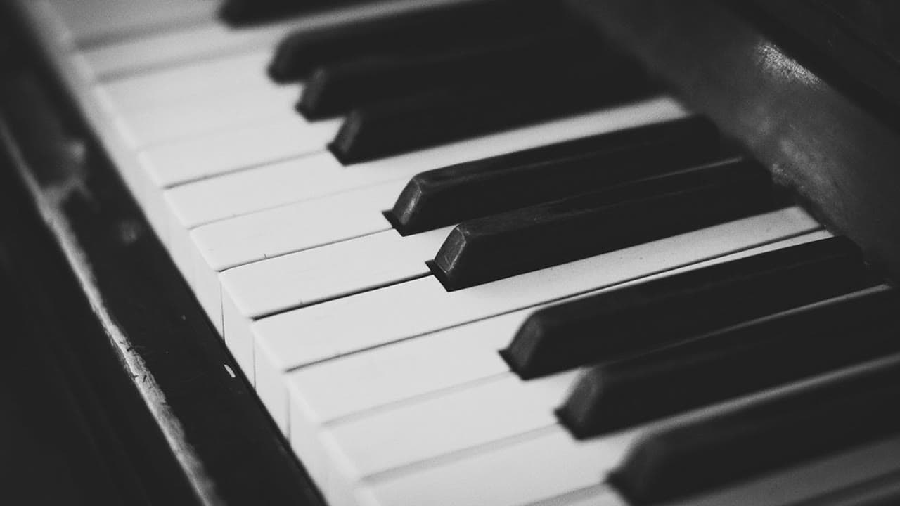 Imagem da notícia: Barquinha Jazz regressa ao Centro Cultural com três concertos em setembro