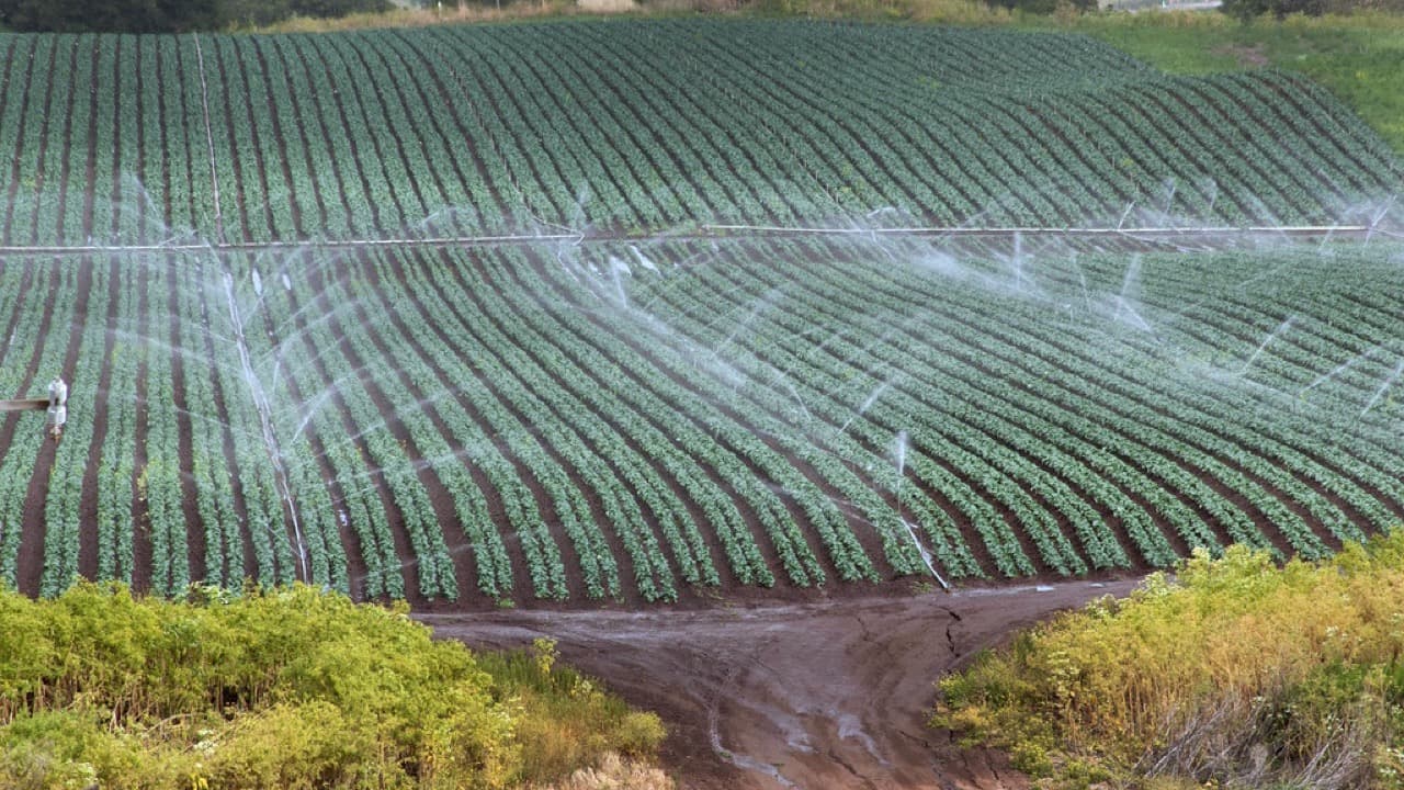 Imagem da notícia: Barrancos junta-se a Huelva para criar produto de ecoturismo no rio Múrtiga