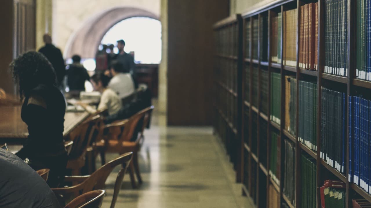 Imagem da notícia: Biblioteca de Alcácer recebe 1.700 livros para recuperar do que perdeu nas cheias