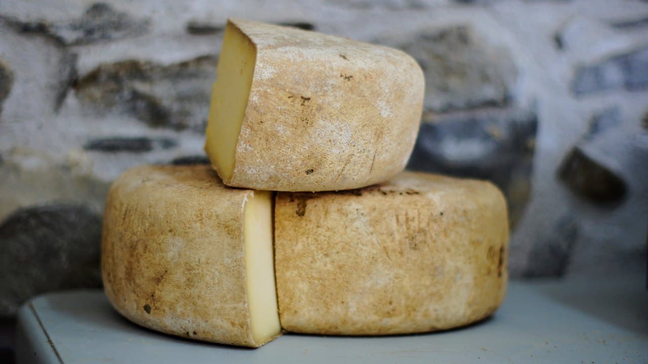 Imagem da notícia: Candidatura do queijo de São Jorge a Património da UNESCO ganha estrutura de acompanhamento
