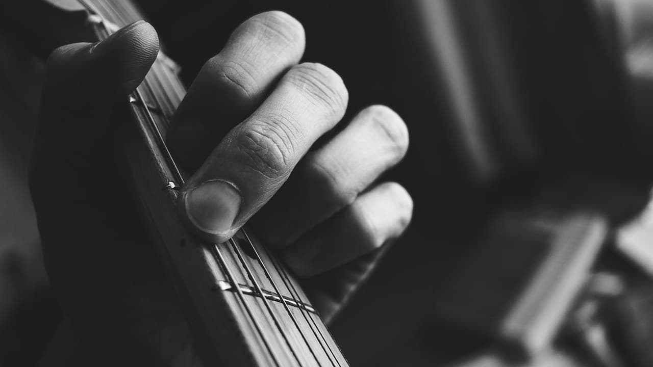 Imagem da notícia: Câmara de Mafra levou música gratuita a Mafra e à Ericeira durante o verão