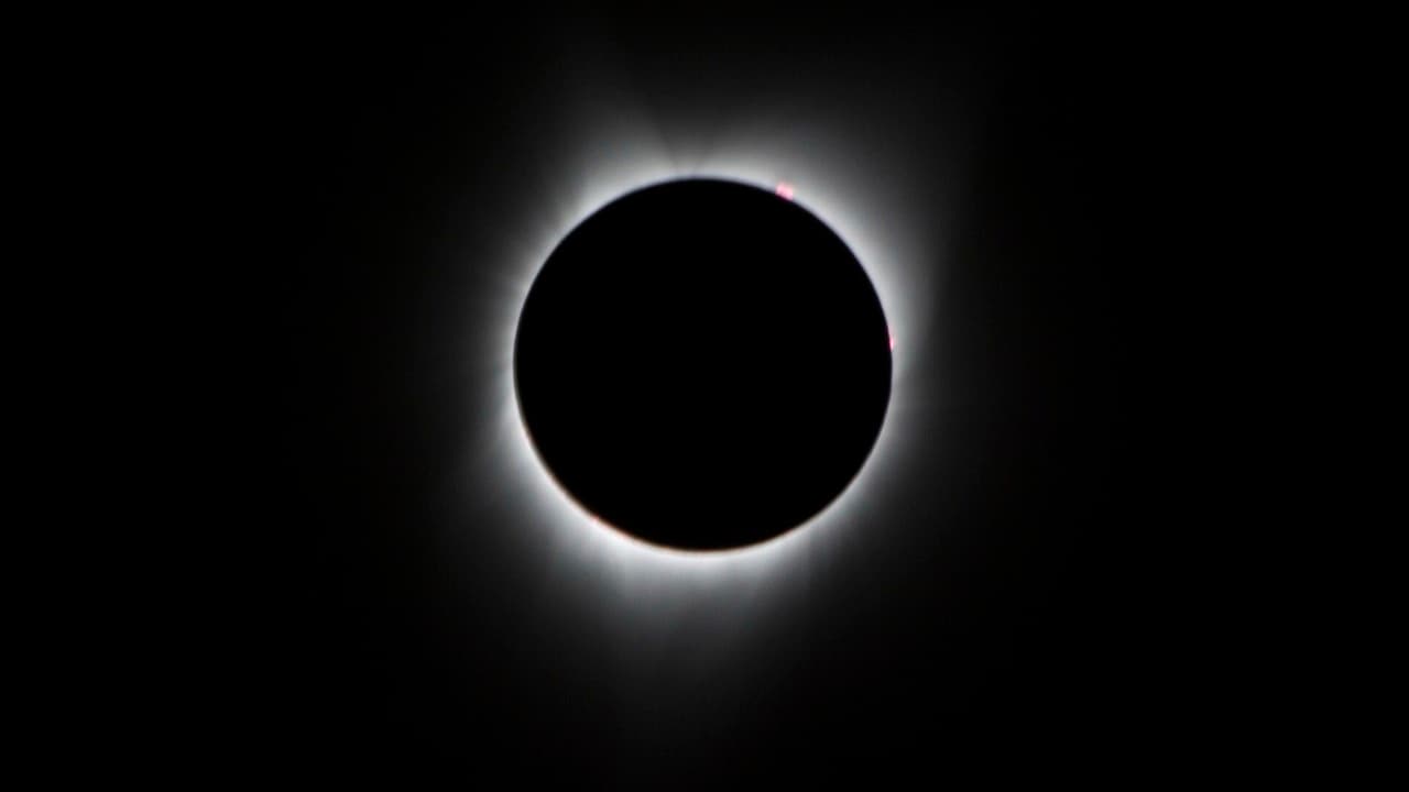 Imagem da notícia: Eclipse solar junta dezenas de pessoas para observação em Estremoz