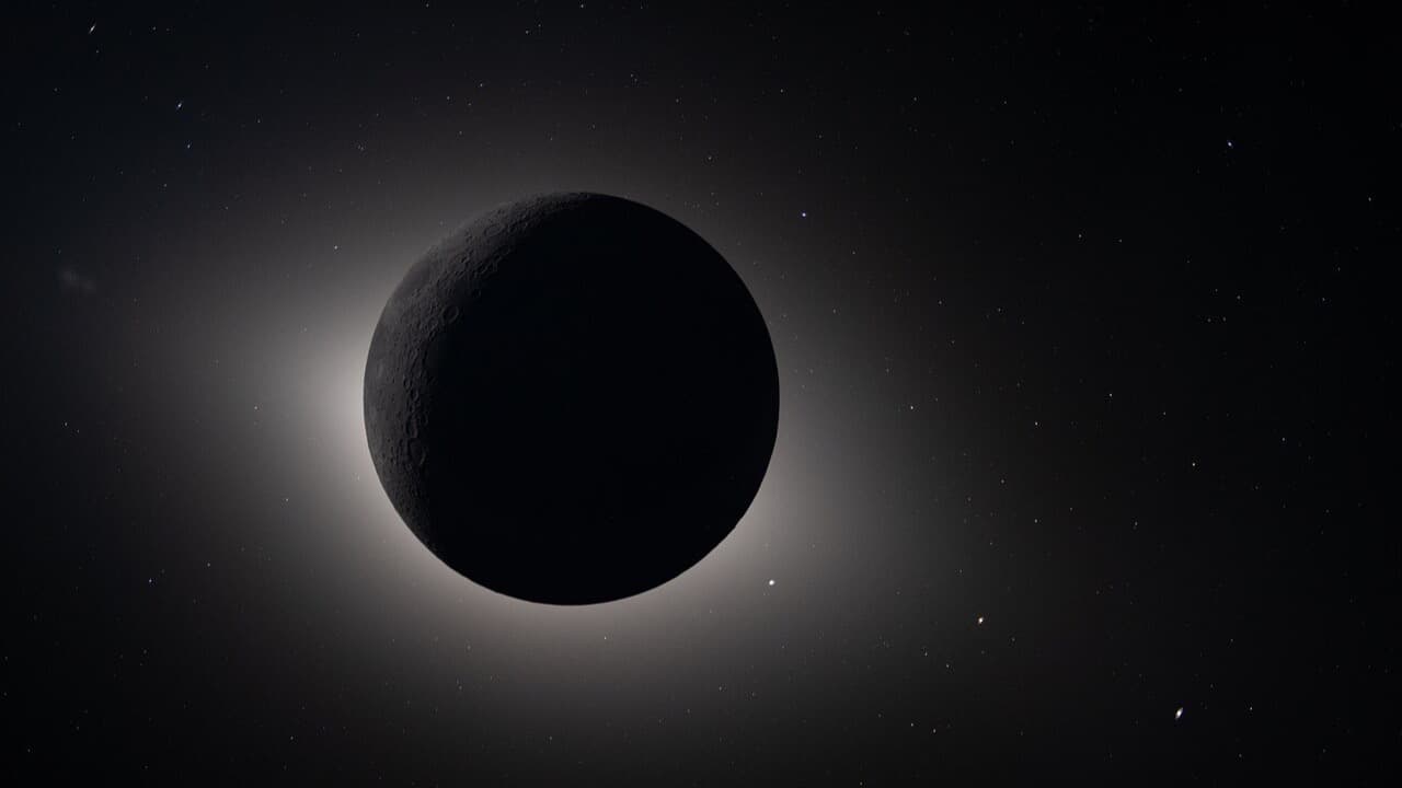 Imagem da notícia: Reguengos de Monsaraz organiza observação do eclipse solar no Parque da Cidade