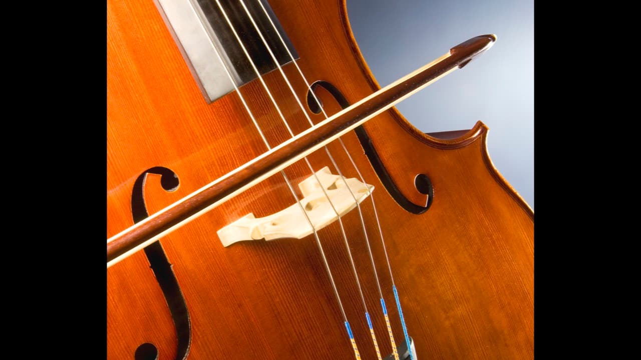 Imagem da notícia: Lisboa cria concurso Escola Acontece e reforça a Orquestra Geração
