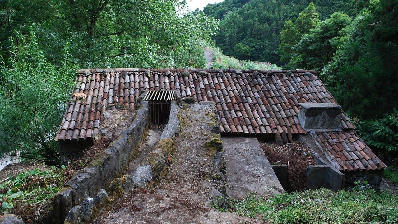 Imagem da notícia: Fotografia de Jorge Kol de Carvalho em exposição no Nordeste