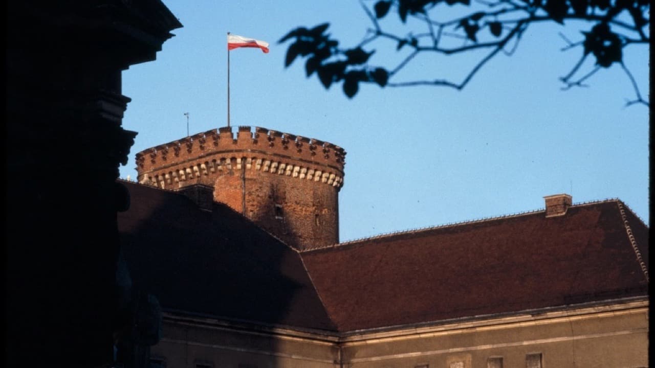 Imagem da notícia: Feira Quinhentista da Ribeira Grande recuou ao domínio espanhol nos Açores