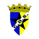 Emblema do Clube Desportivo Salvaterrense