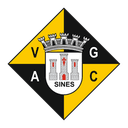 Emblema do Vasco da Gama Atlético Clube