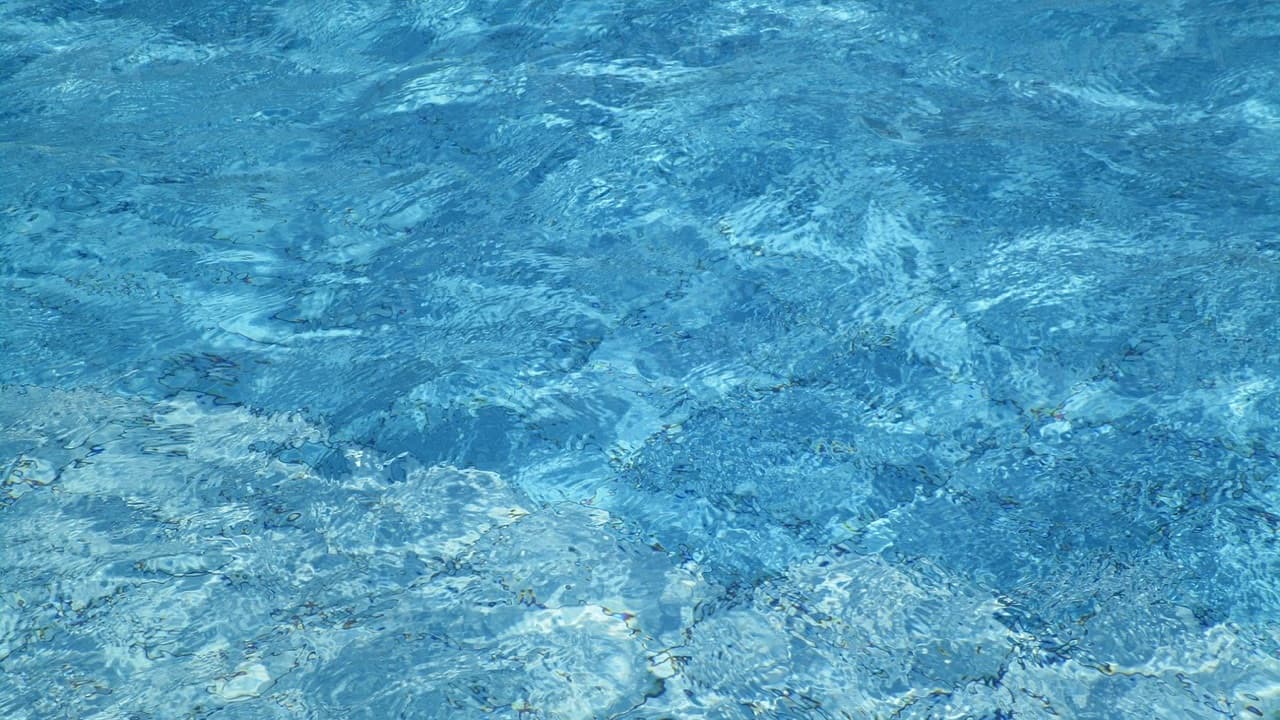 Imagem da notícia: Festa da Juventude anima Piscinas Municipais a 12 e 13 de agosto