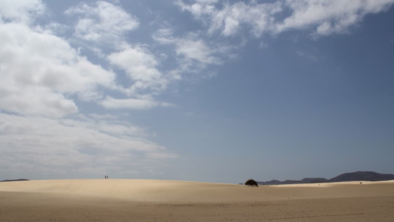 Imagem da notícia: Almodôvar cria zona de apoio à população nos dias de calor extremo