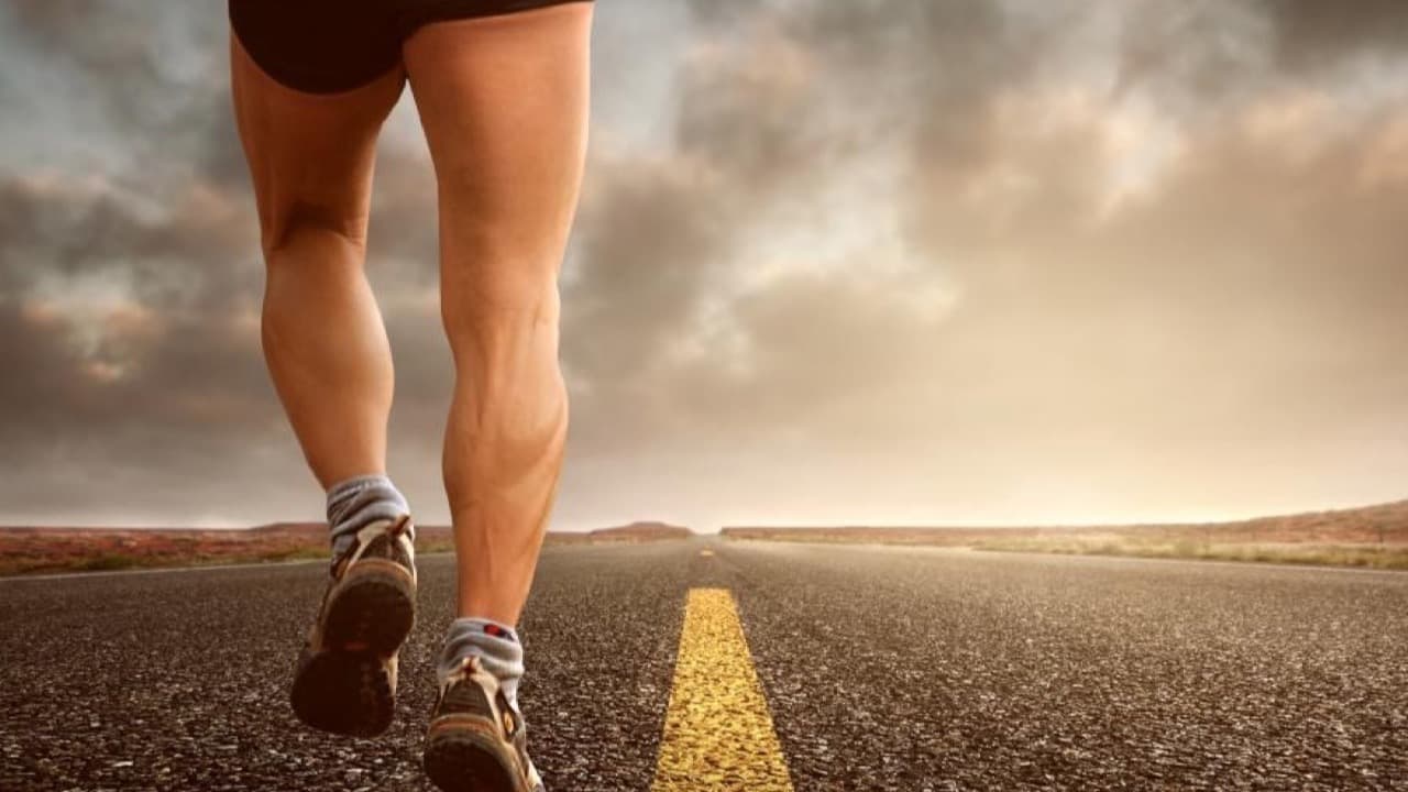 Imagem da notícia: Município de Alpiarça organiza participação na Corrida Sempre Mulher 2026
