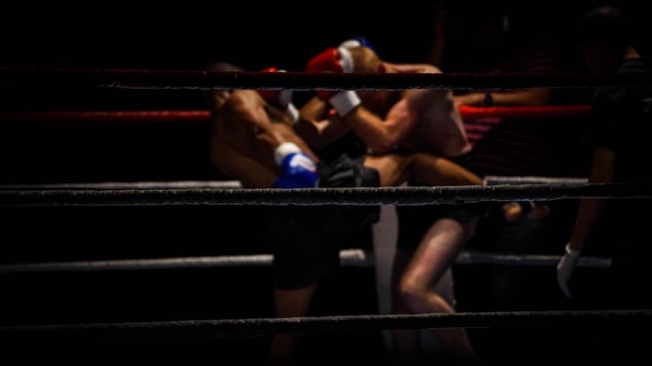 Imagem da notícia: Andreia Conceição sagra-se campeã europeia de kickboxing e mira o Mundial