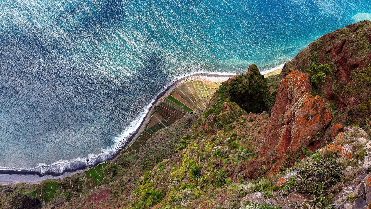 Imagem da notícia: "Lobijogos" regressam à baía de Câmara de Lobos a 15 de agosto