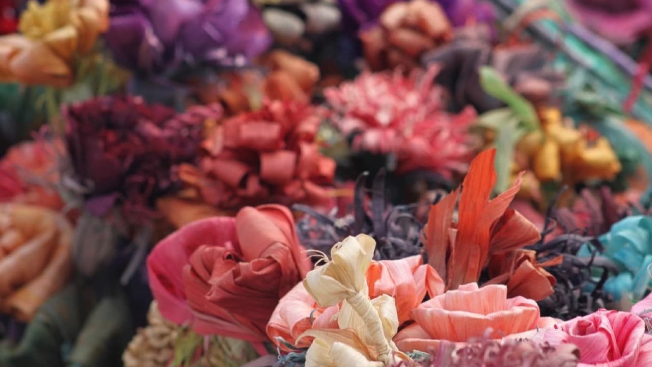 Imagem da notícia: Campo Maior e Redondo unidos através da tradição das flores de papel