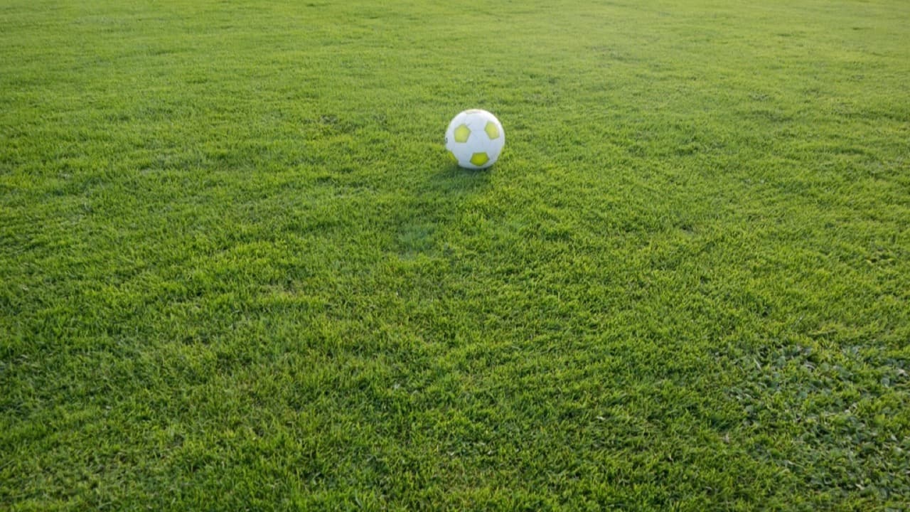Imagem da notícia: Castelo Branco atribui 607.500 euros de apoio a clubes de futebol e futsal