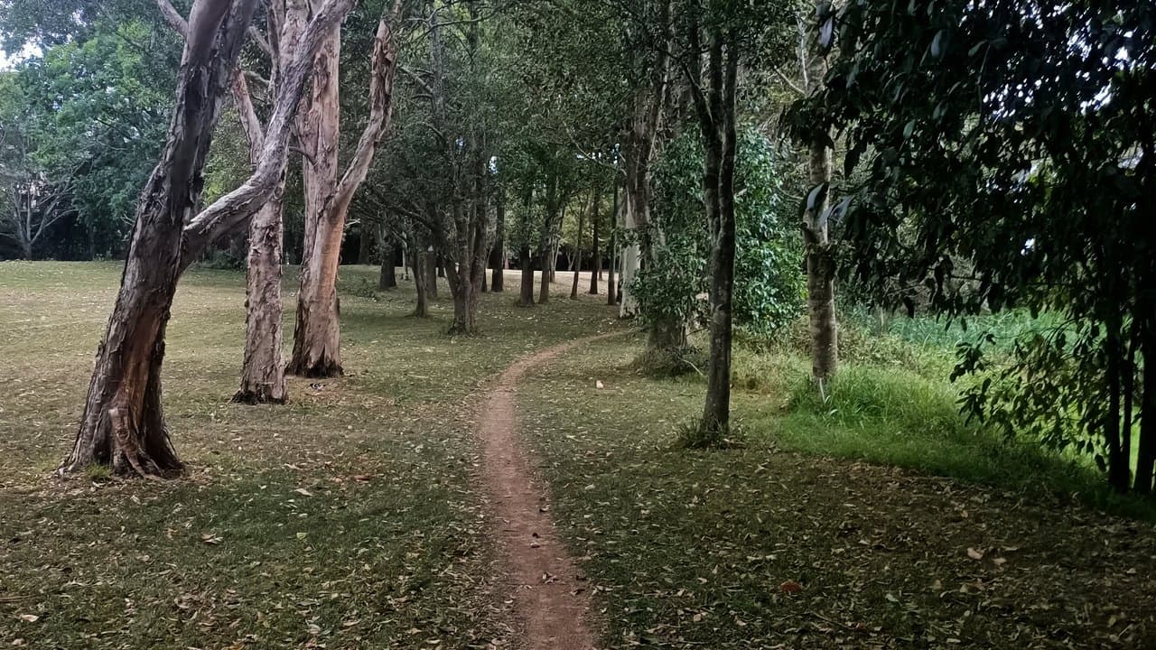 Imagem da notícia: Centro Cyclin'Trancoso já está em funcionamento na Venda do Cepo