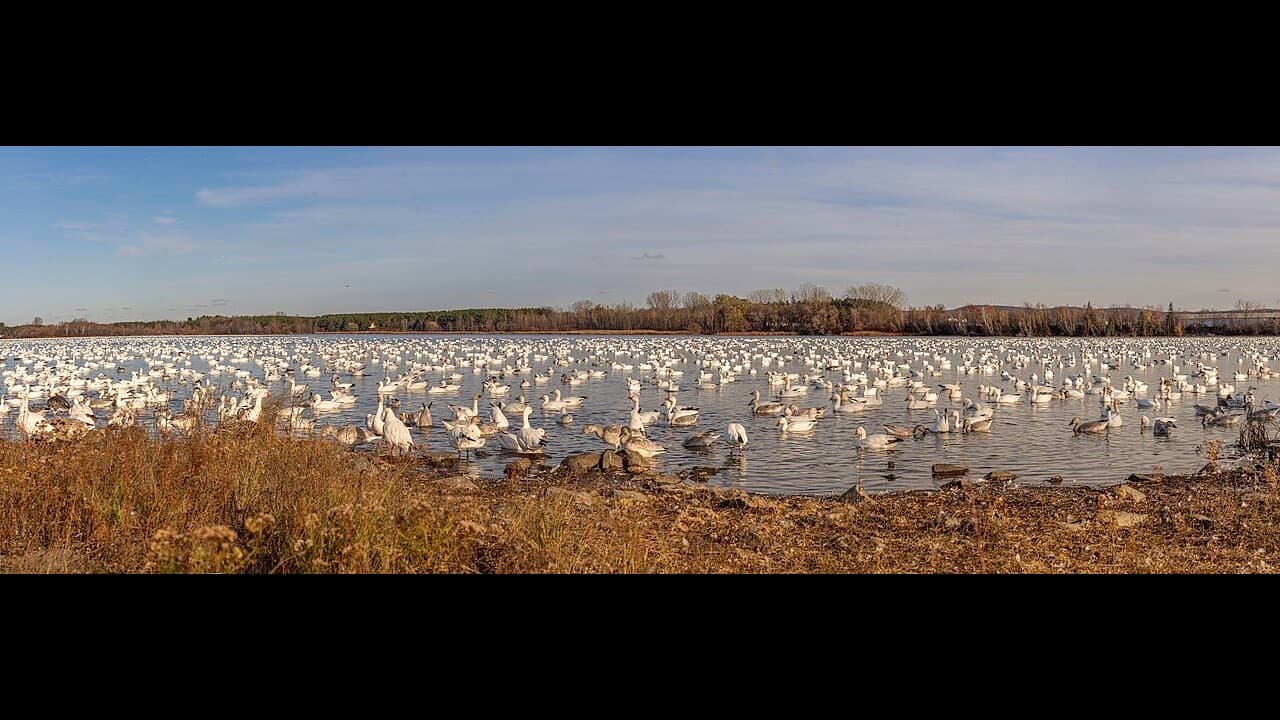 Imagem da notícia: Câmara declara utilidade pública urgente para reforçar o abastecimento de água