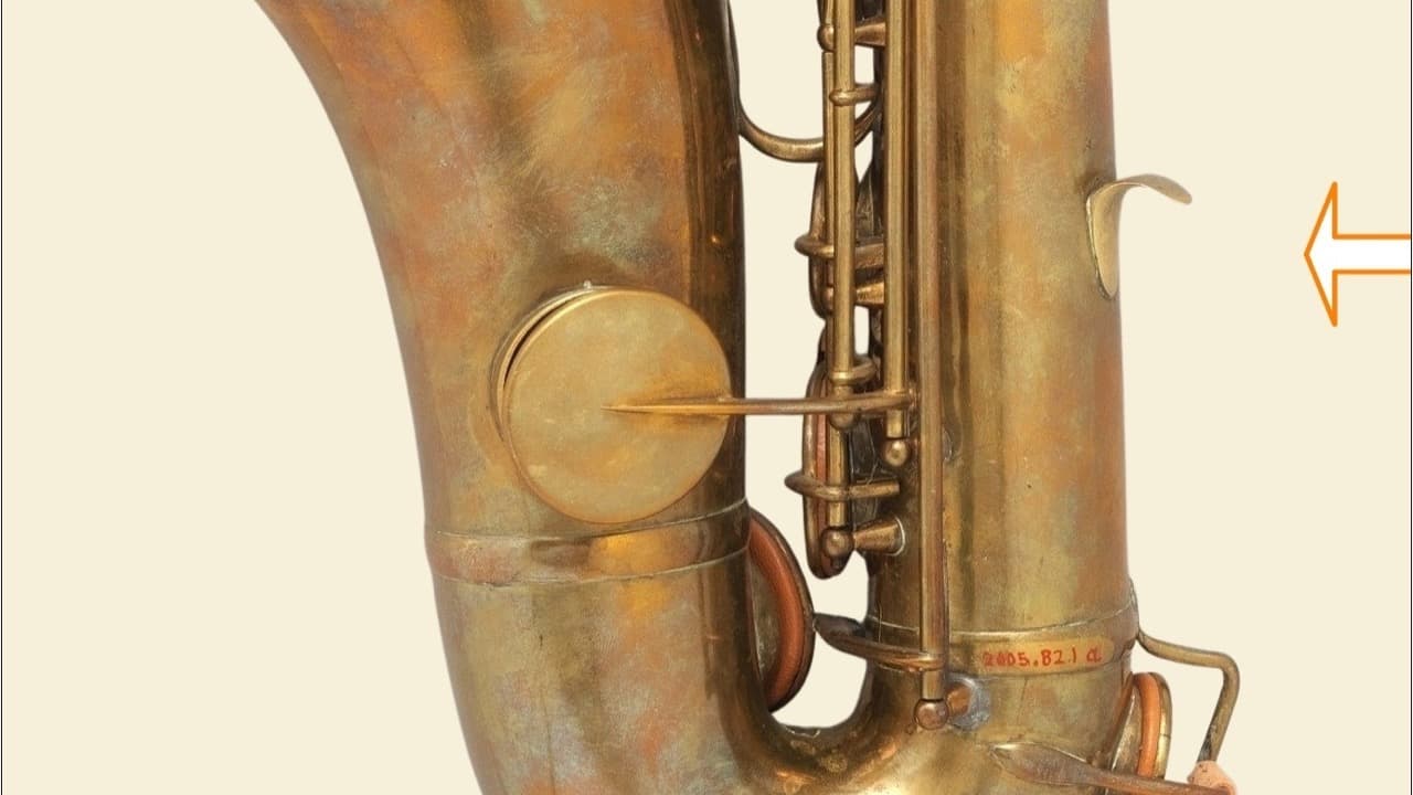 Imagem da notícia: Centro de Artes recebe noite de fado e saxofone com Kajó Soares e André Baptista
