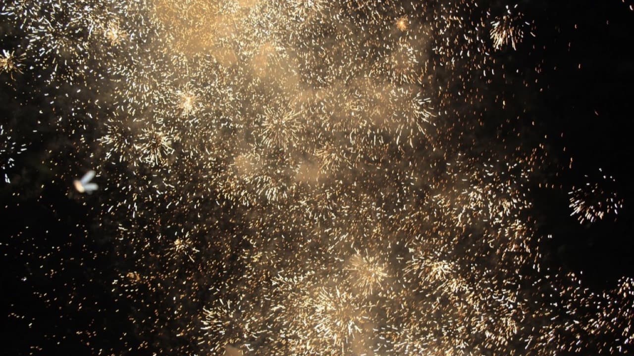 Imagem da notícia: Festas de Santa Maria animam Ourique de 13 a 16 de agosto