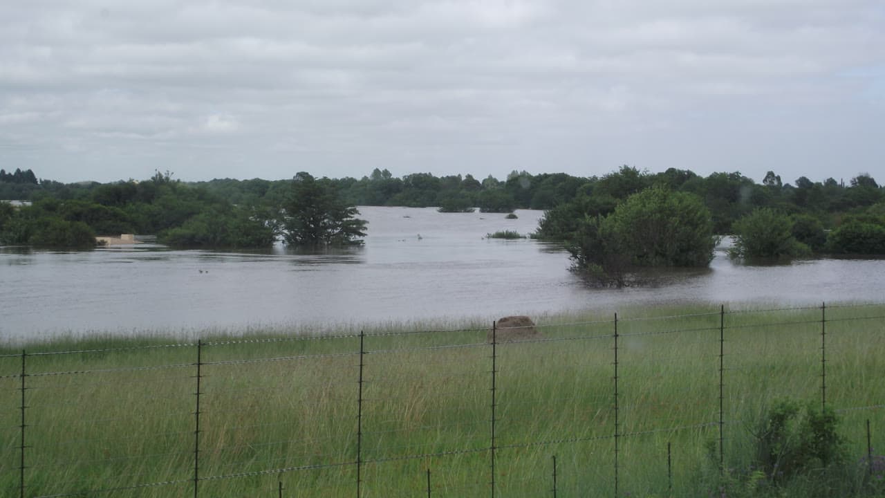 Imagem da notícia: Fornos de Algodres soma 3,5 milhões em prejuízos e pede situação de calamidade