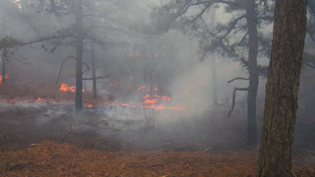 Imagem da notícia: Incêndio em Marmelete dominado com mais de uma centena de operacionais no terreno