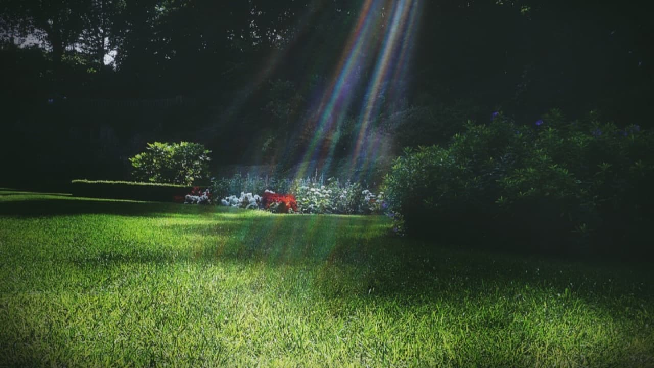 Imagem da notícia: "Noites no Jardim" regressam com música e convívio no Jardim da Baleia