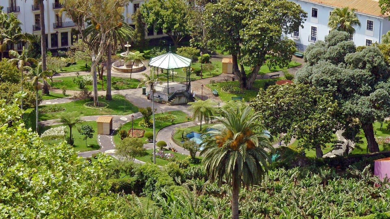 Imagem da notícia: Animação de Verão regressa ao centro da vila da Madalena até setembro