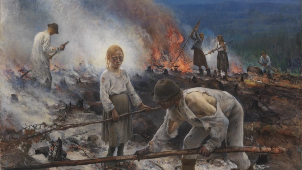 Imagem da notícia: Museu Municipal de Faro promove visitas guiadas a duas exposições durante agosto