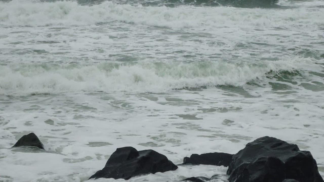 Imagem da notícia: Praia da Nazaré passa a ter corredor permanente para meios de socorro