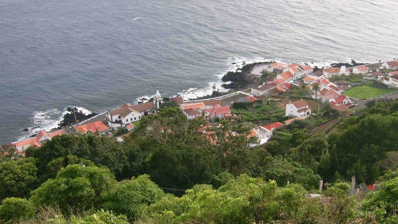 Imagem da notícia: Calheta gere orçamento de 12,3 milhões de euros em 2026 com foco nas famílias