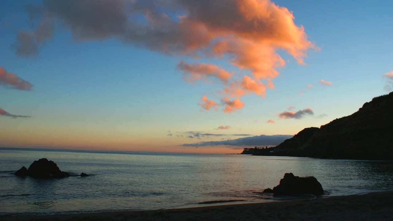 Imagem da notícia: Ponta Delgada assinala Dia Internacional da Juventude na Praia do Pópulo