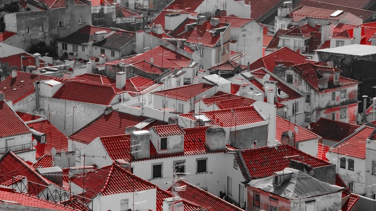 Imagem da notícia: Ordem dos Arquitetos aponta "ausência de estratégia" na revisão do PDM de Ponta Delgada