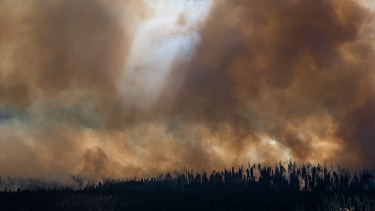 Imagem da notícia: Incêndio no Miradouro da Santinha mobilizou bombeiros no Porto Moniz
