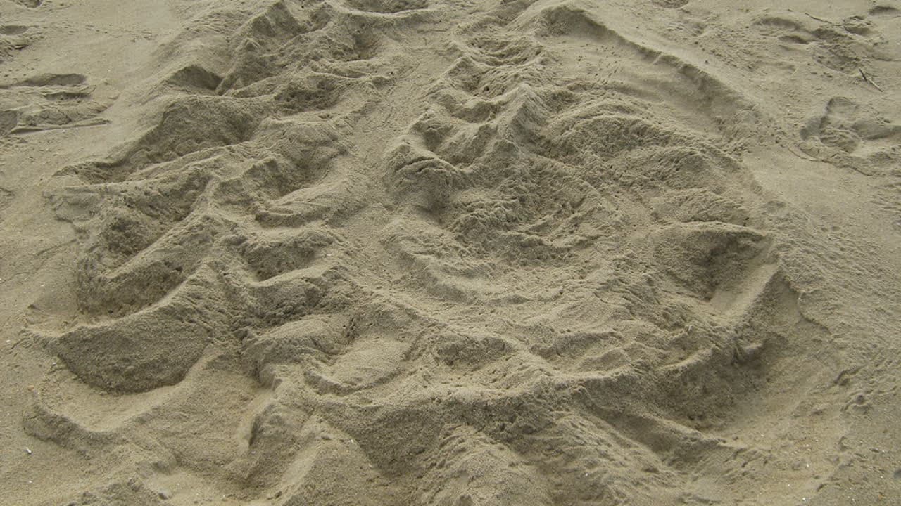 Imagem da notícia: Praia das Amoeiras entra na rede nacional de monitorização do lixo marinho