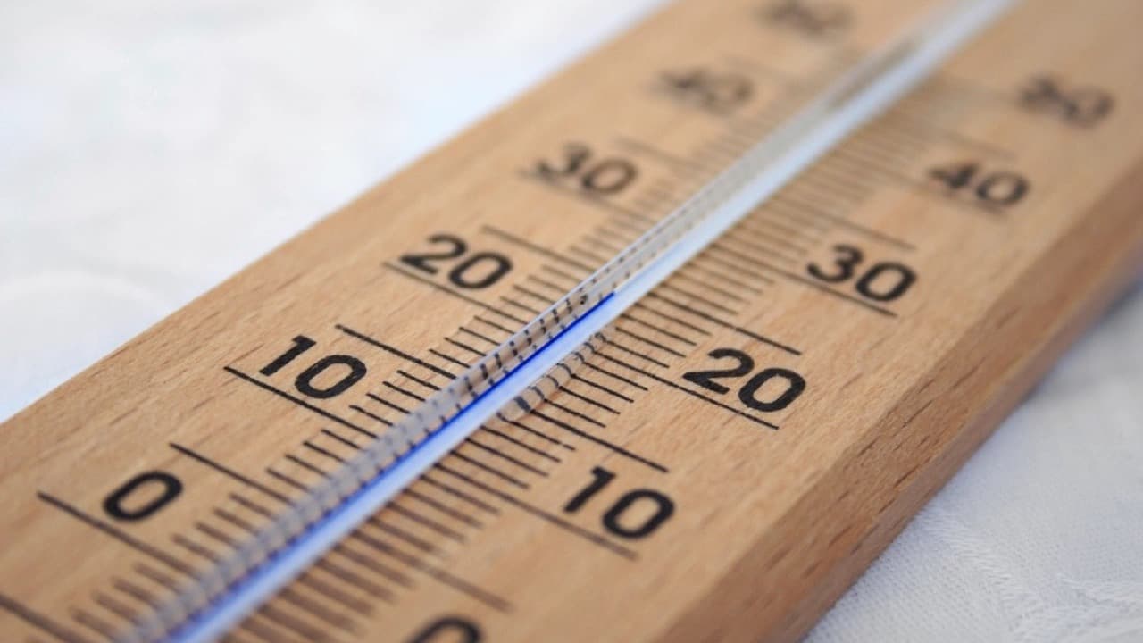 Imagem da notícia: Loulé cria rede de refúgios climáticos para proteger população do calor extremo