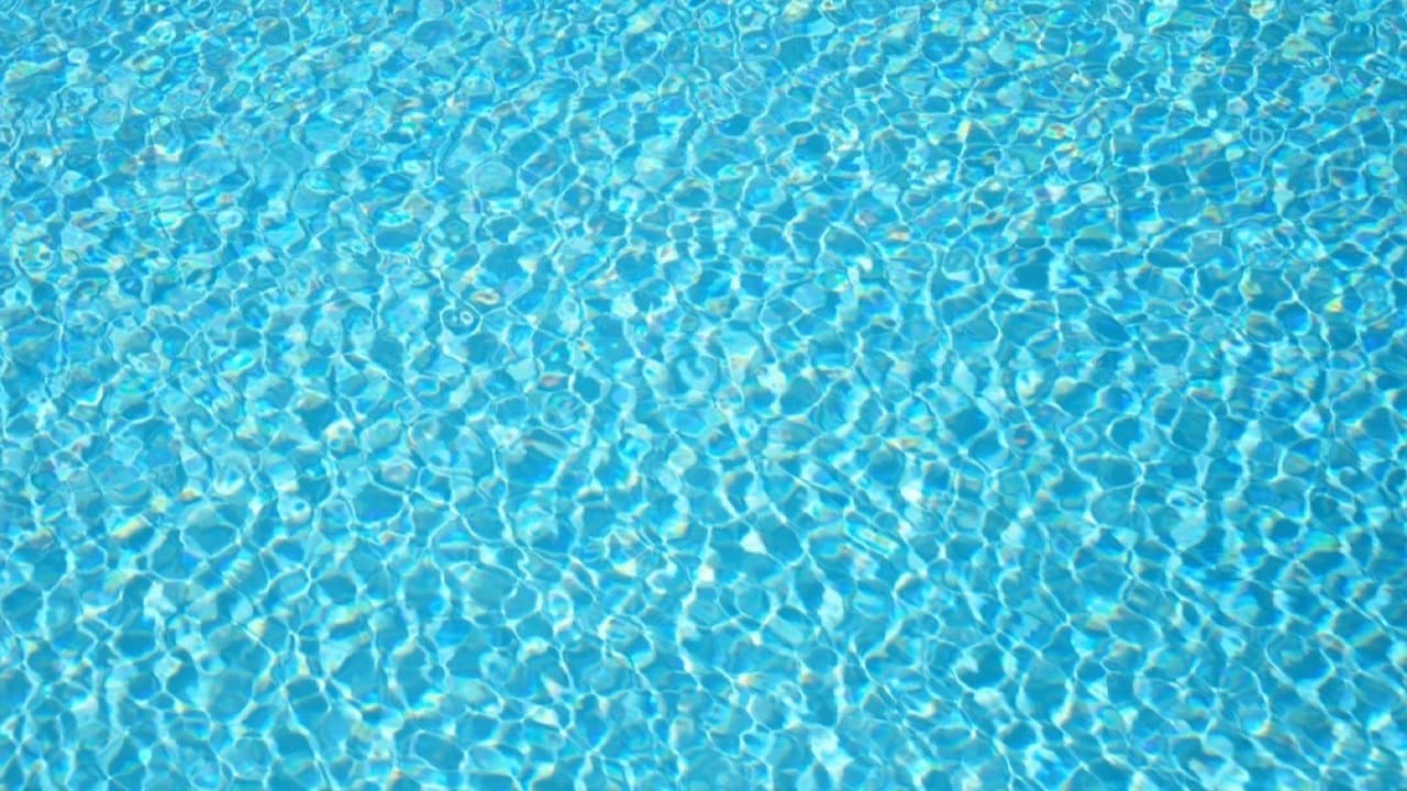 Imagem da notícia: Jovens até aos 30 anos têm entrada gratuita nas Piscinas Municipais de Salvaterra de Magos