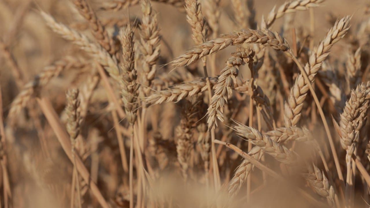 Imagem da notícia: Santana atribui mais de 32 mil euros em apoios a famílias, agricultores e associações