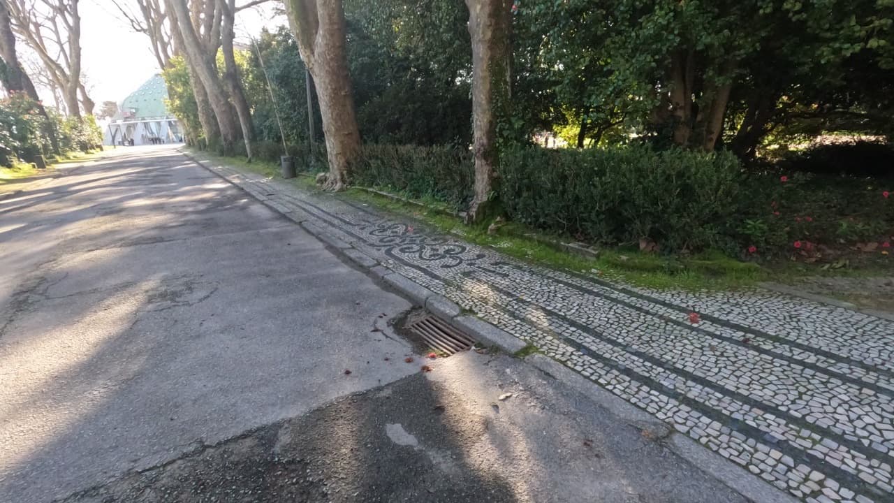Imagem da notícia: "Calçadas – A Arte Sai à Rua" ilumina o Centro Histórico a 14 de agosto