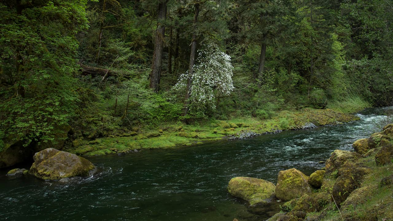 Imagem da notícia: Trilho Panorâmico do Tejo reabre após limpeza e reposição das condições de segurança