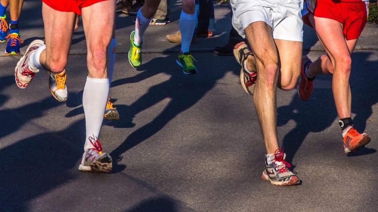 Imagem da notícia: Ultra Maratona Atlântica junta 29 nacionalidades na costa de Grândola