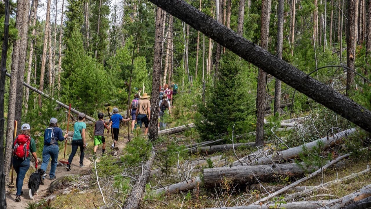 Imagem da notícia: Aljustrel abre segundo período de inscrições no Voluntariado Jovem para a Natureza e Florestas