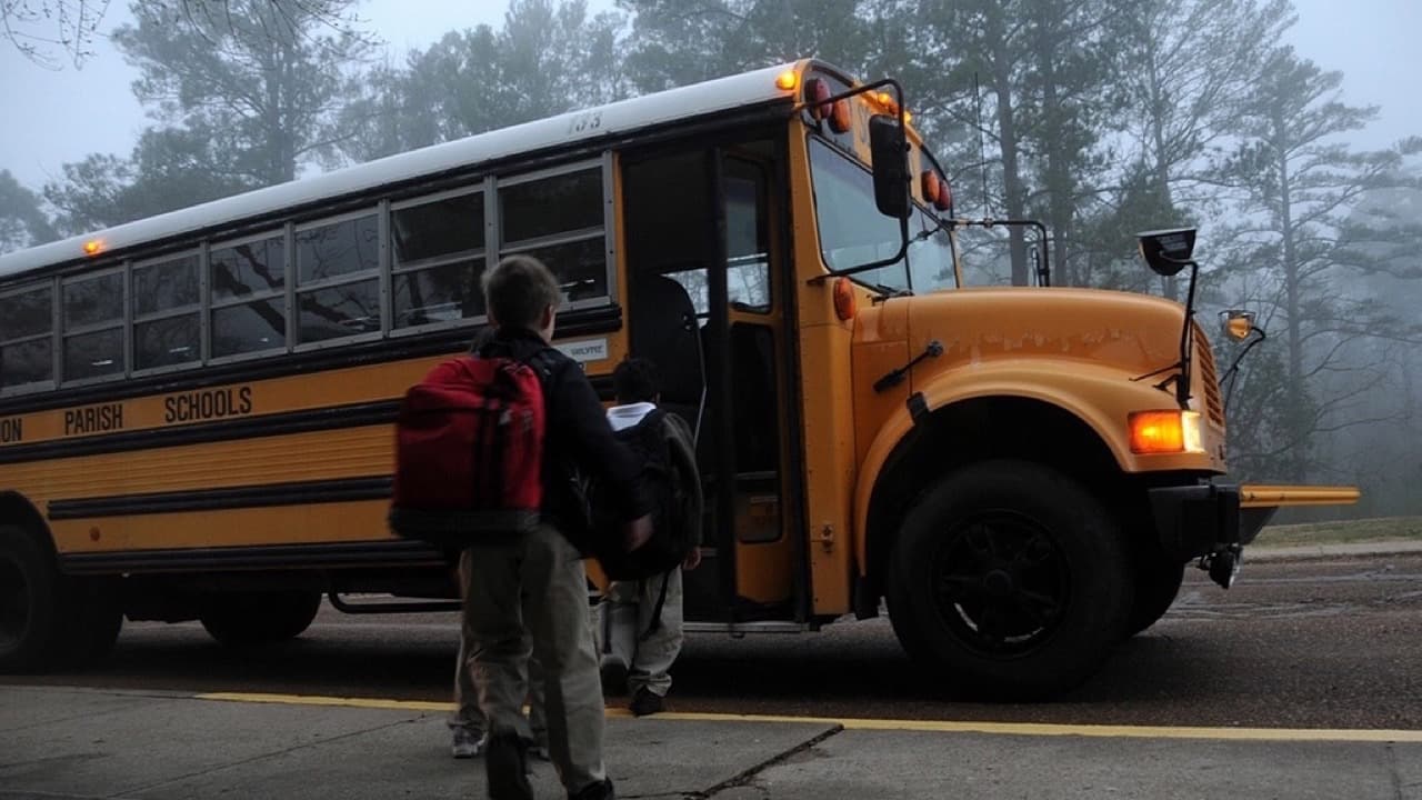 Imagem da notícia: Palmela reforça transporte escolar com mais de um milhão de euros em 2026/2027
