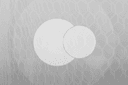 Emblema do Recreio Pedroguense