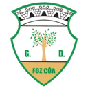 Emblema do Grupo Desportivo de Vila Nova de Foz Côa