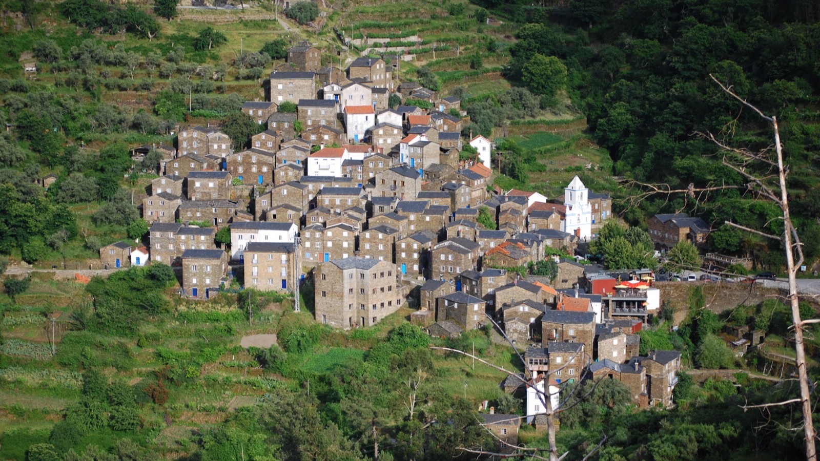 Arganil