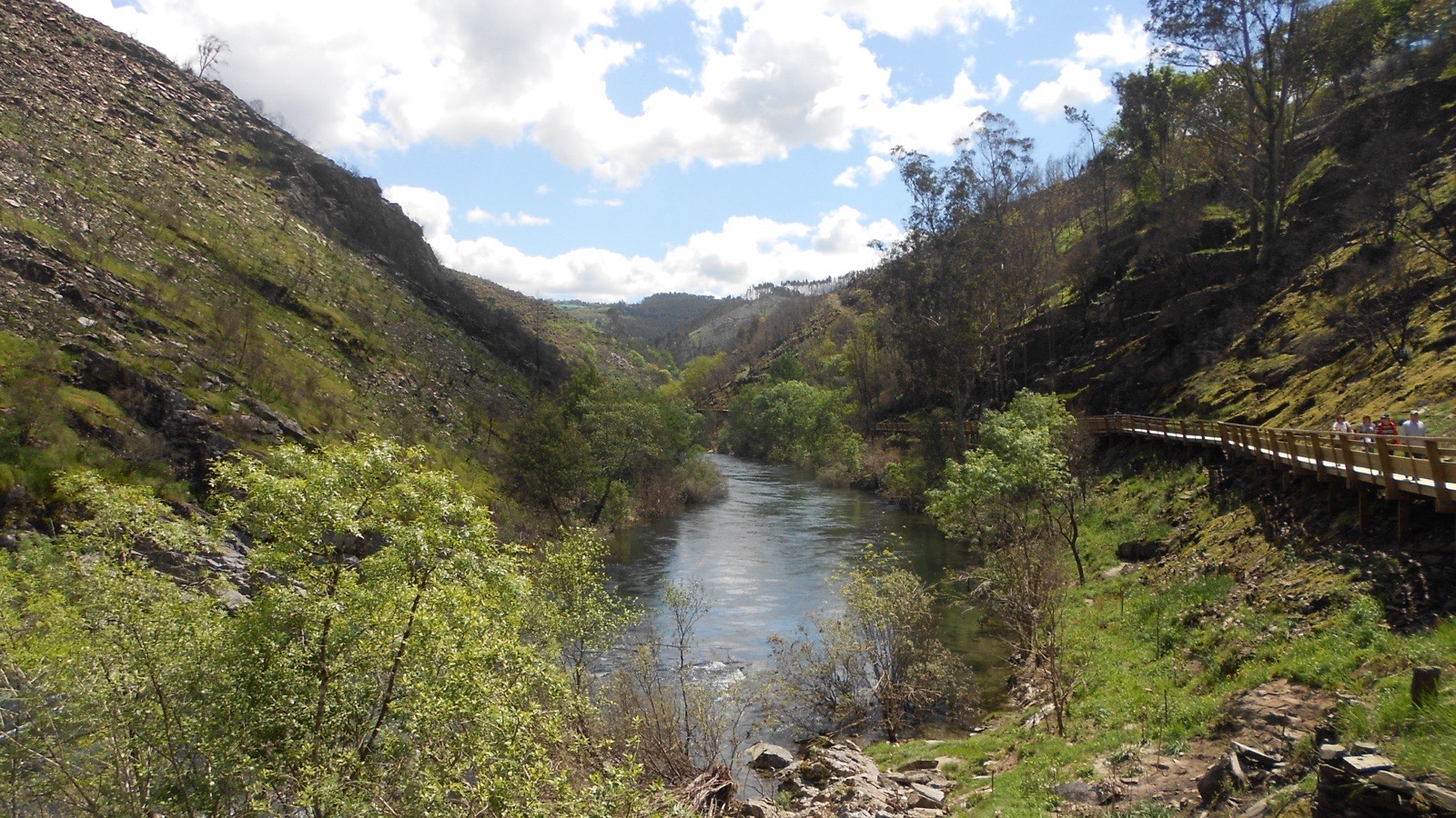 Arouca